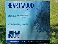 2022 Morton HEARTWOOD01 : Morton Arboritum, 2022 - Morton Arberutum Human Nature